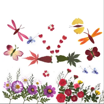Um Conjunto Criativo Pressionado Flores Secas+Folhas de Plantas do Herbário De Jóias, cartão Postal Cartão de Convite de Telefone Caso de Indicador de Arte DIY
